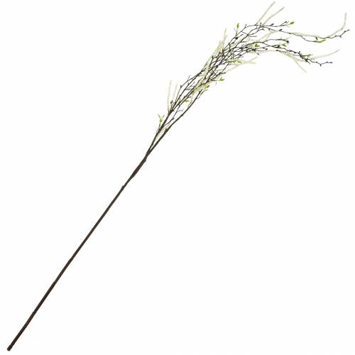 Floristik24 Konstgjord björkgren, dekorativ gren björkgrön med kattar L135cm
