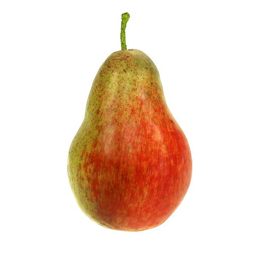 Floristik24 Päronröd, grön 11cm - 12cm 3st