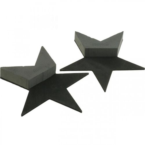 Artikel OASIS® Black Bioline® Floral Foam Star Svart H30cm 2 st