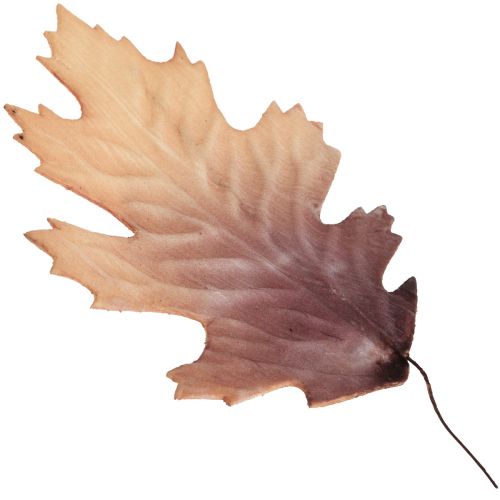 Floristik24 Röda eklöv höstlöv deco blad deco 13×19cm 12st