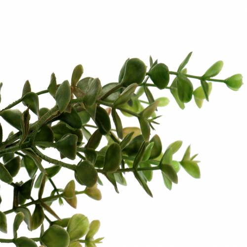 Artikel Boxwood dekorativ gren grön 40cm