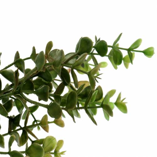 Floristik24 Boxwood dekorativ gren grön 40cm