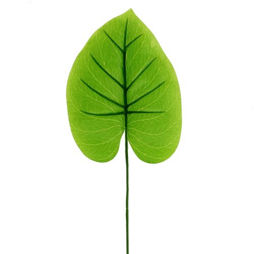 Floristik24 Dekorativt blad Funkie, Hosta 40cm 5st