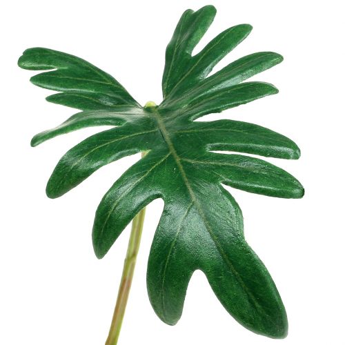 Floristik24 Blad Philodendron 31cm Grön 12 st