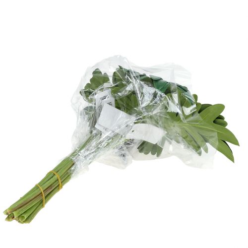 Artikel Blad Philodendron 31cm Grön 12 st