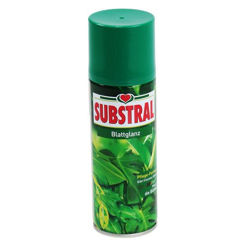 Floristik24 Bladglans 200 ml