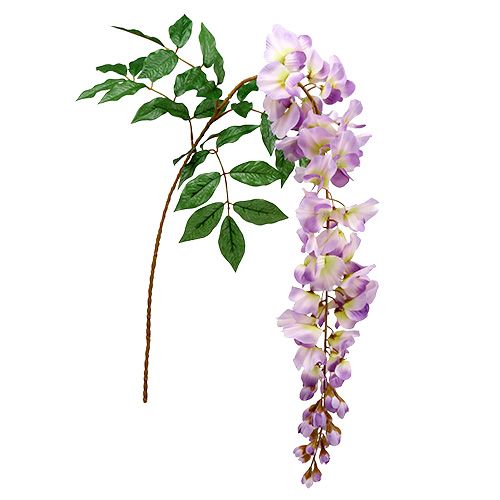 Floristik24 Wisteria wisteria L104cm