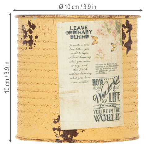 Artikel Dekorativ plåtburk i aprikosfärgad metallkruka Ø11cm H10,5cm