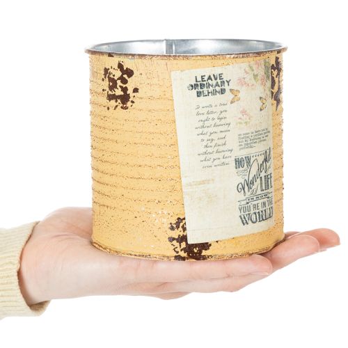 Dekorativ plåtburk i aprikosfärgad metallkruka Ø11cm H10,5cm | Floristik24.se