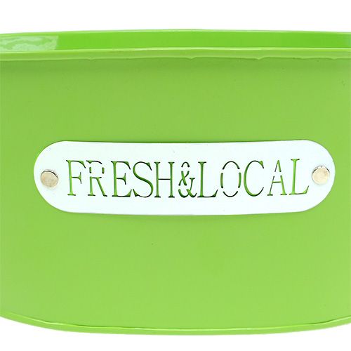 Floristik24 Plåtskål oval grön 22cm x 15cm H10cm