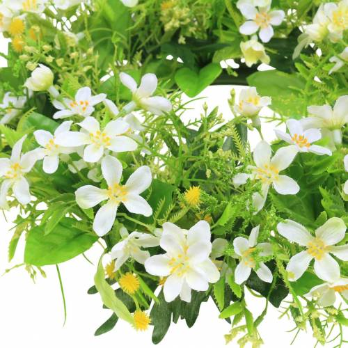 Floristik24 Kransanemon/dillgrön, vit Ø30cm