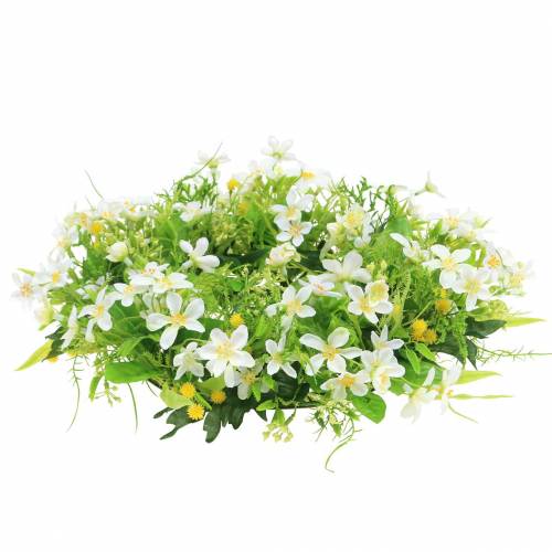 Floristik24 Kransanemon/dillgrön, vit Ø30cm