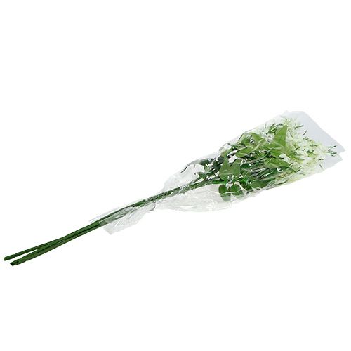 Artikel Blomgren vit 78 cm 3st