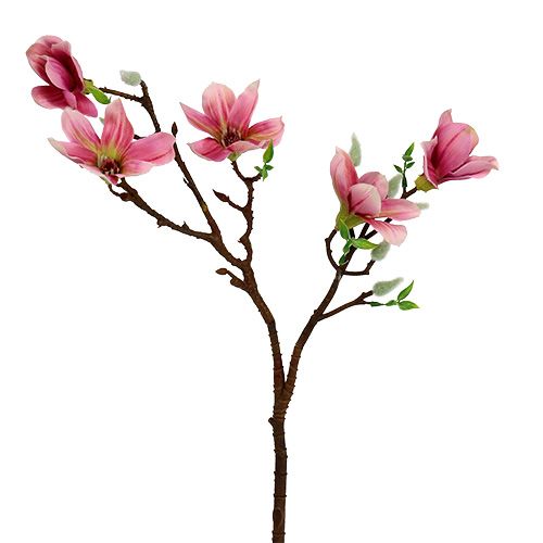 Floristik24 Magnolia mini rosa, rosa L53cm 3st