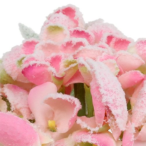Artikel Hortensia rosa med snö 33cm 4 st
