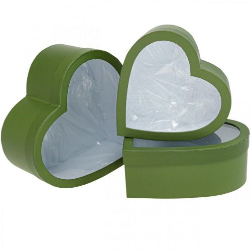 Blommapresentförpackning Hjärta Blomlåda Grön 24/21,5/19 cm Set om 3