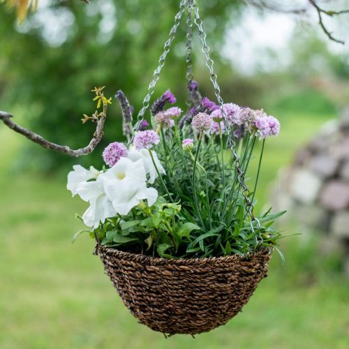 Floristik24 Blomkorg brun hängkorg hängkorg växtkorg Ø25cm