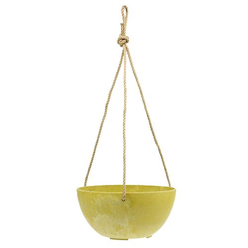 Floristik24 Hängkorgen Fiona Ø25cm H12cm Citron