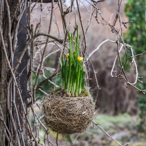 Floristik24 Blumenampel Heu Natur Växtkorg för upphängning Hängkruka Ø20cm