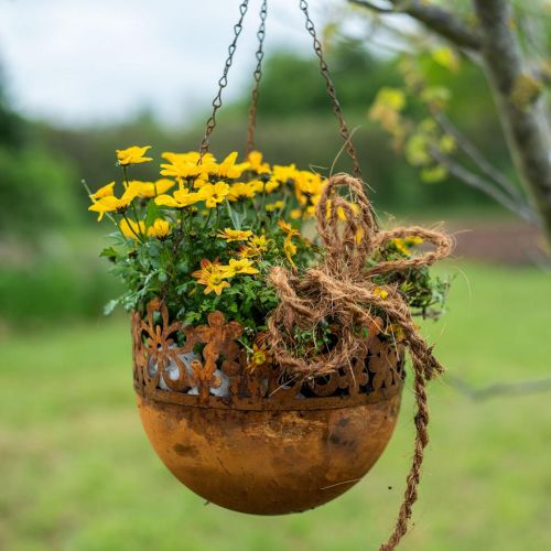 Artikel Hängkorg metalldekor rosthängande dekoration Ø20cm H16cm