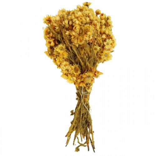 Artikel Mini halmblomma gula torkade blommor gäng torr bukett H20cm 15g