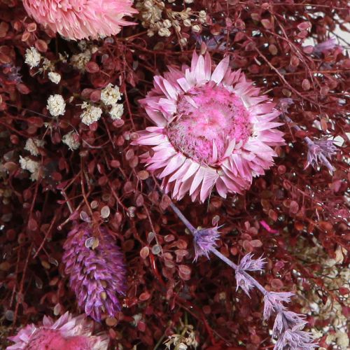 Floristik24 Blomkrans torkade blommor krans vinröd rosa Ø25cm