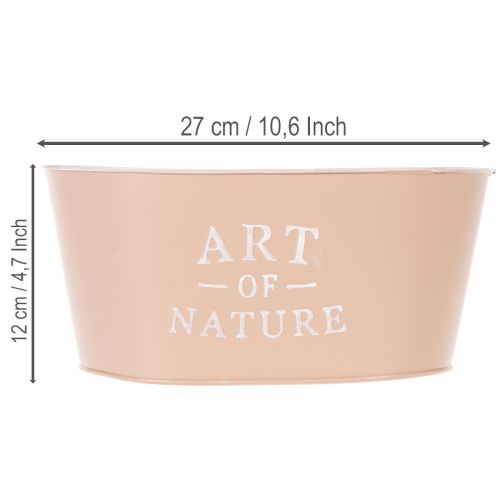 Oval blomskål i zink, antik ros, kruka, 27×18 cm, H12,5 cm | Floristik24.se