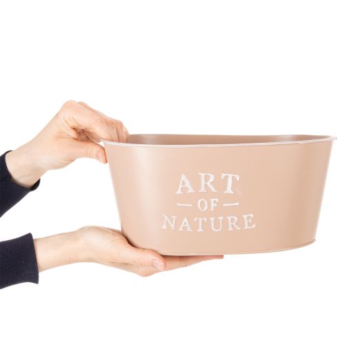 Oval blomskål i zink, antik ros, kruka, 27×18 cm, H12,5 cm | Floristik24.se