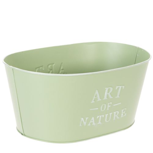 Blomskål oval zink mintgrön 27×18cm H12,5cm | Floristik24.se