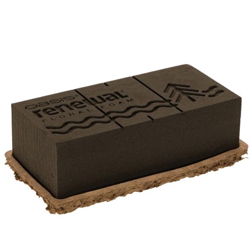 Blomskum 1/1 tegelsten OASIS® Renewal® Blomskum Biolit® 24cm 2st