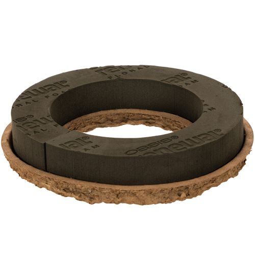 Blommig skumring OASIS® Renewal® Blommig skum Biolit® 24 cm 2 st köpa | Floristik24.se
