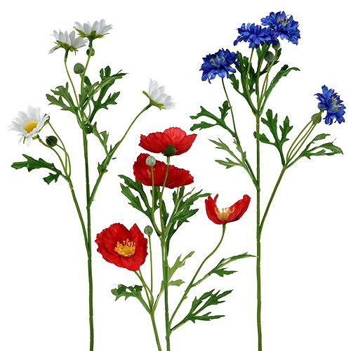 Floristik24 Bukett med ängblommor 55cm