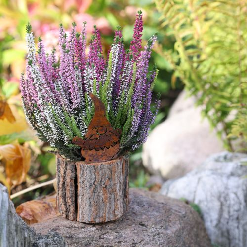 Artikel Blomkruka träbark planteringskärl gnome rost H24cm