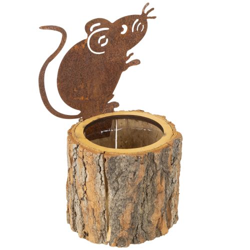 Blomkruka i trä, bark och musrost, H24cm