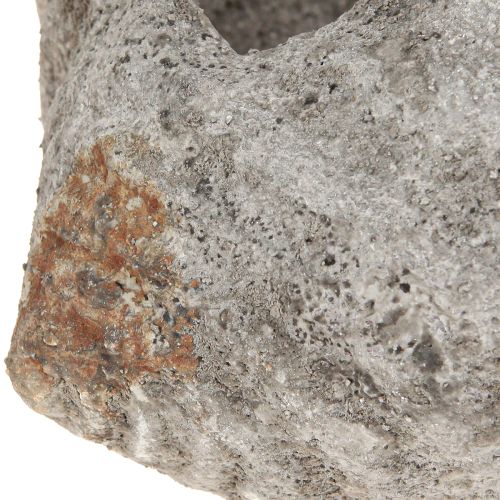 Artikel Blomkruka skalsten antikgrå maritim 22×18×13cm
