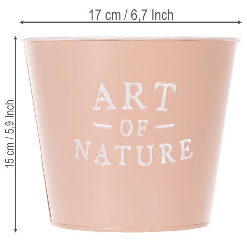 Artikel Zinkkruka Art of Nature, antik ros, Ø17,5 cm H15 cm