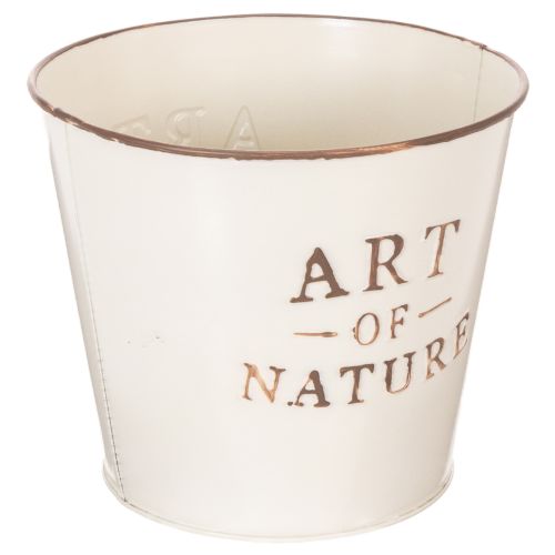 Zinkkruka Art of Nature Cream Ø17,5cm H15cm | Floristik24.se