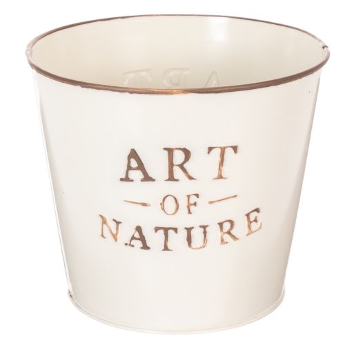 Zinkkruka Art of Nature Cream Ø17,5cm H15cm köpa | Floristik24.se