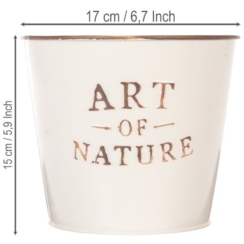 Zinkkruka Art of Nature Cream Ø17,5cm H15cm | Floristik24.se
