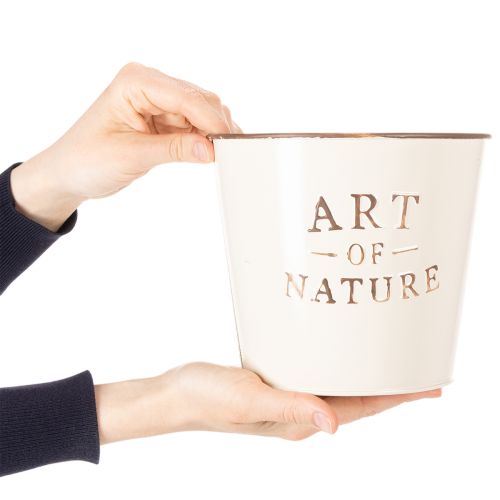 Artikel Zinkkruka Art of Nature Cream Ø17,5cm H15cm