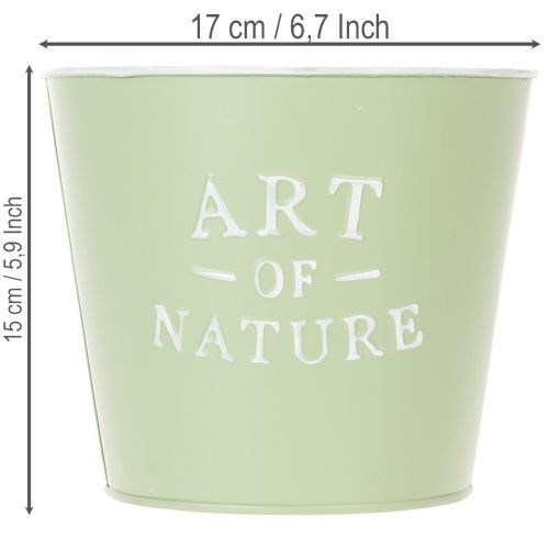 Artikel Zinkkruka Art of Nature mintgrön Ø17,5cm H15cm