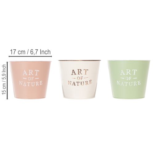 Blomkruka Art of Nature set om 3 i vintage design 17 cm | Floristik24.se