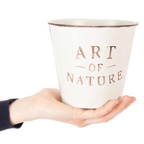 Art of Nature kruka med text, dekoration för fönsterbräda och vardagsrum, 15 cm, 2 stycken | Floristik24.se