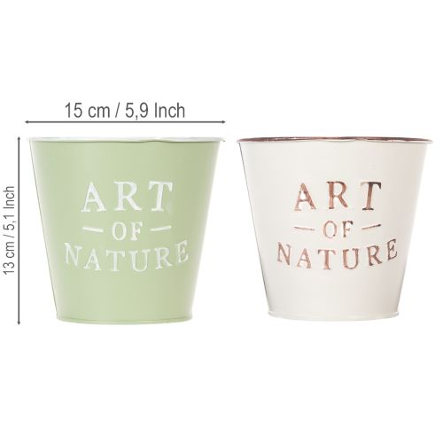 Art of Nature kruka med text, dekoration för fönsterbräda och vardagsrum, 15 cm, 2 stycken | Floristik24.se
