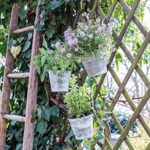 Floristik24 Blomkruka för upphängning av metall antikkräm Ø13cm H11,5cm