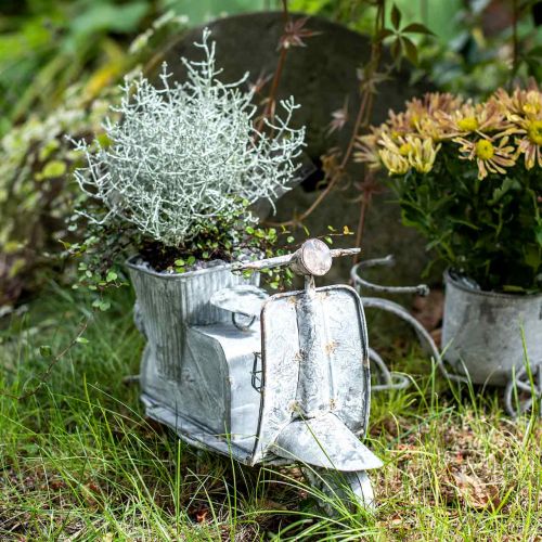 Floristik24 Blomkruka skoter metall vintage vit tvättad 35×12×23cm