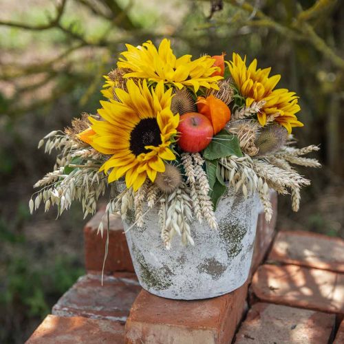 Floristik24 Blomkruka i antik look med patina Ø20,5cm H16cm