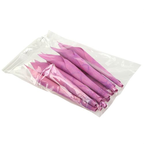 Floristik24 Blomtratt cigarr calla rosa 18cm - 19cm 12 st