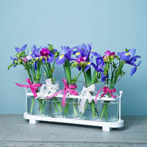 Floristik24 Blomvas apotekarflaskor apotekare glasdekoration på bricka 38cm