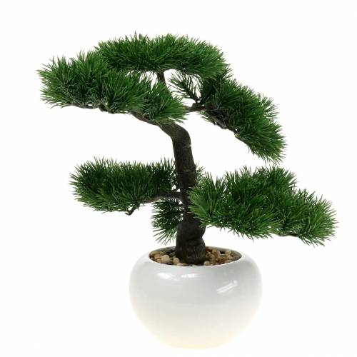 Floristik24 Bonsai -träd i keramisk kruka Japansk furu konstgjord H36cm